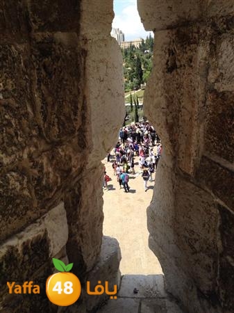 rashidiyasy 0531 (35).jpg